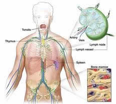 Lymphoma Treatment in India