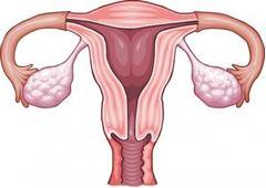 fibroid surgery India, cost fibroid surgery India