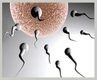 infertility treatment India, cost infertility treatment India
