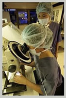 cost infertility treatment India, low cost infertility treatment India